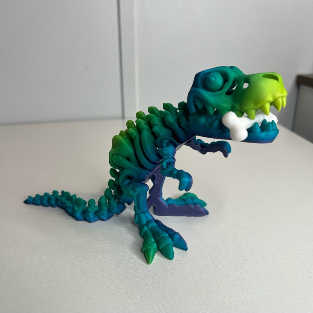 3D Printed T Rex & 🦴